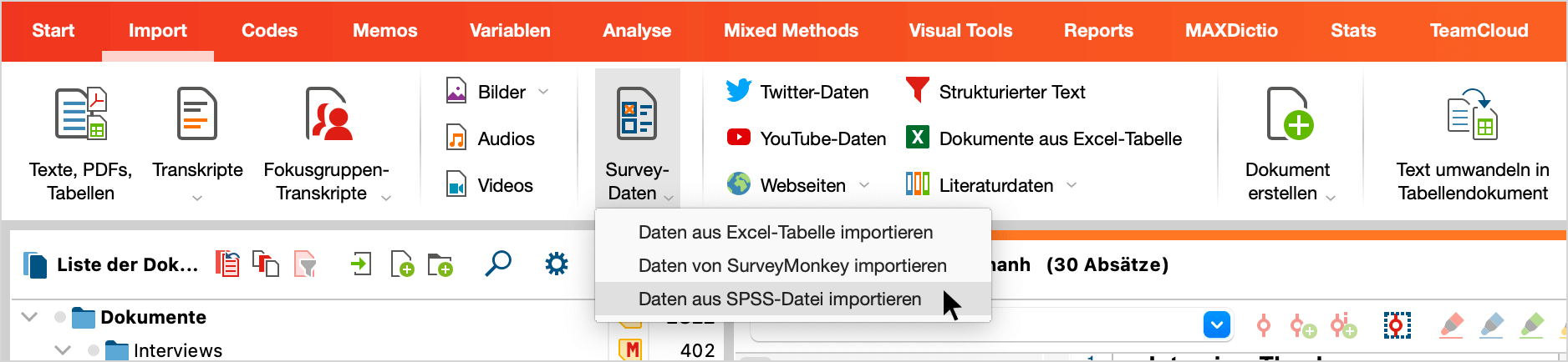 Import von Survey-Daten auf dem Tab „Import“ aufrufen Import von Survey-Daten auf dem Tab „Import“ aufrufen