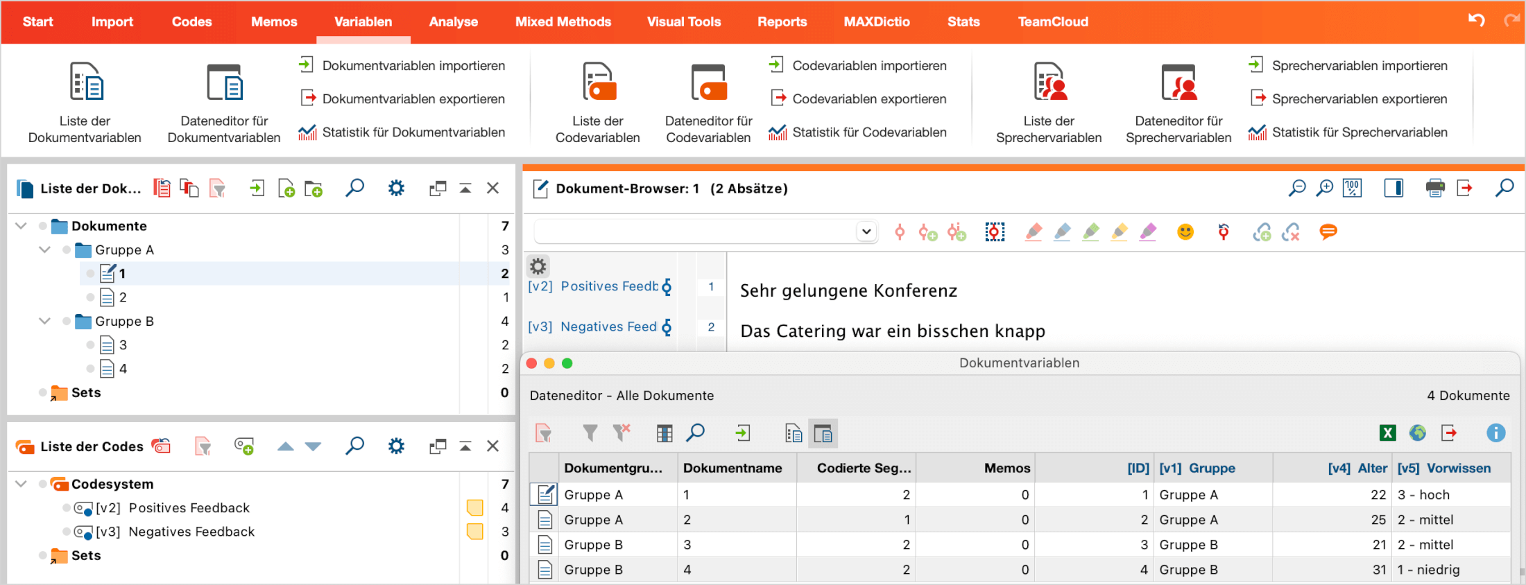 Importierte Survey-Daten in MAXQDA Importierte Survey-Daten in MAXQDA