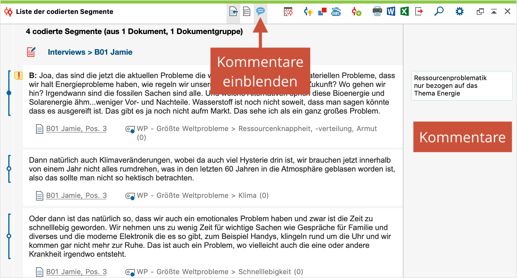 Kommentarspalte in der „Liste der codierten Segmente“ Kommentarspalte in der „Liste der codierten Segmente“