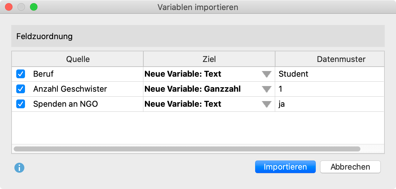 Optionen beim Import einer SPSS-Datendatei Optionen beim Import einer SPSS-Datendatei