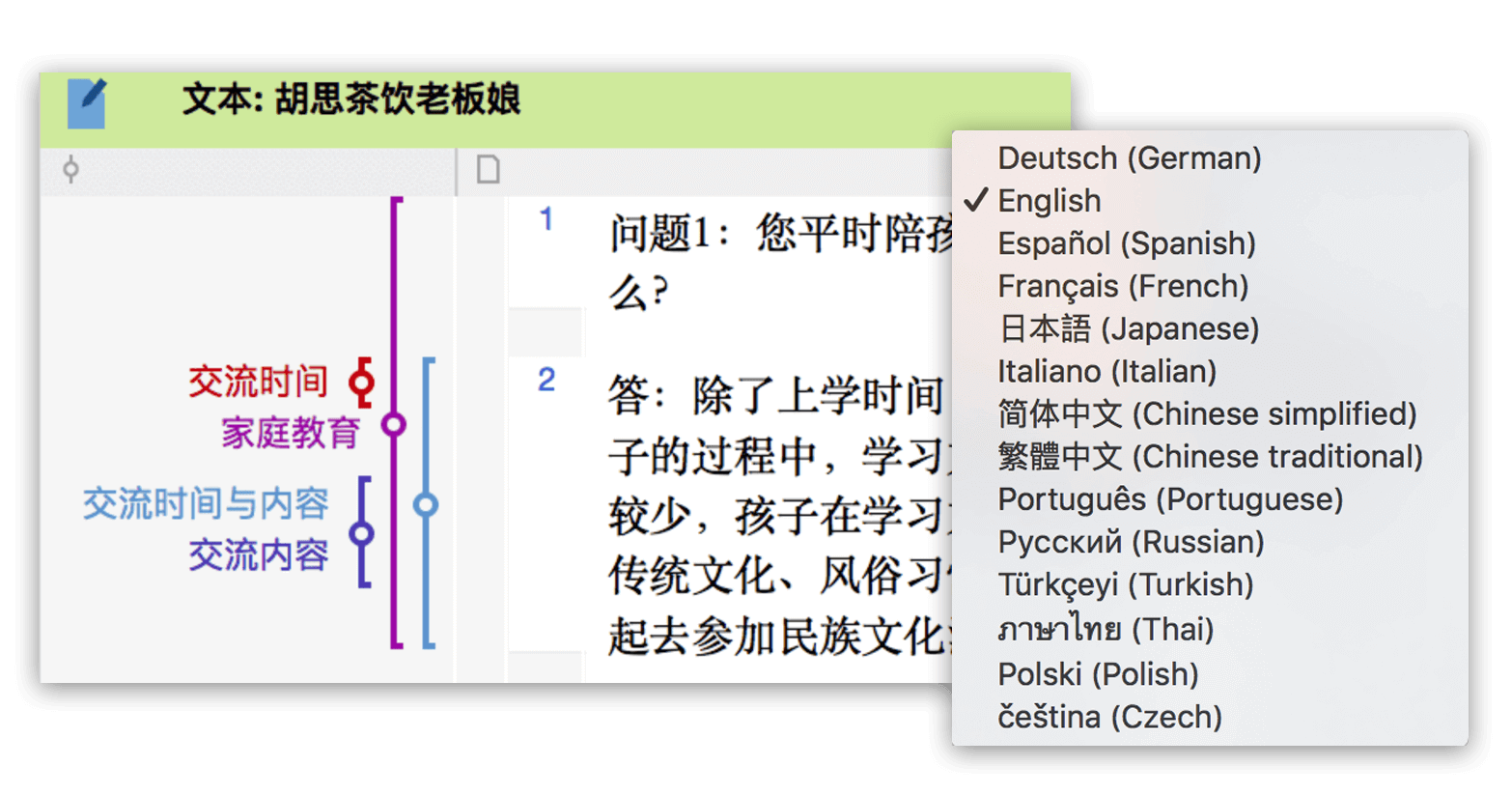 Languages in MAXQDA