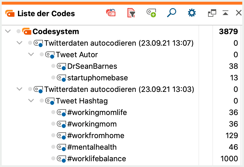 Der automatisch erzeugte Code in der „Liste der Codes“ Der automatisch erzeugte Code in der „Liste der Codes“