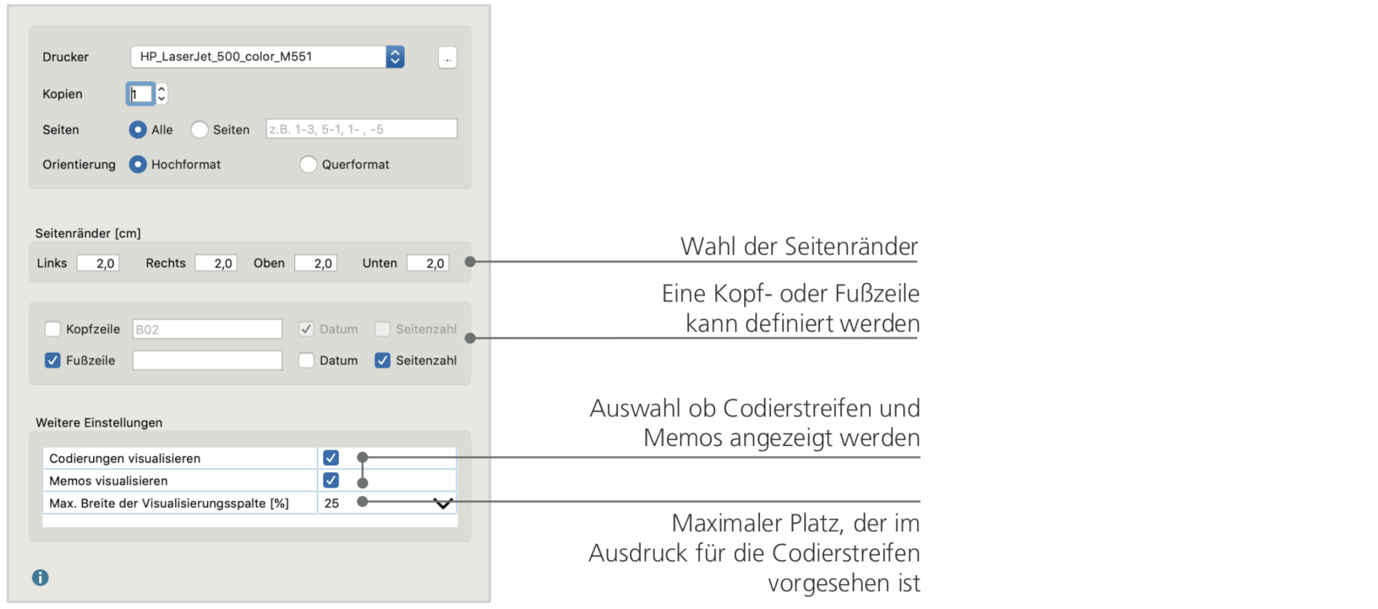 Druckmenue MAXQDA