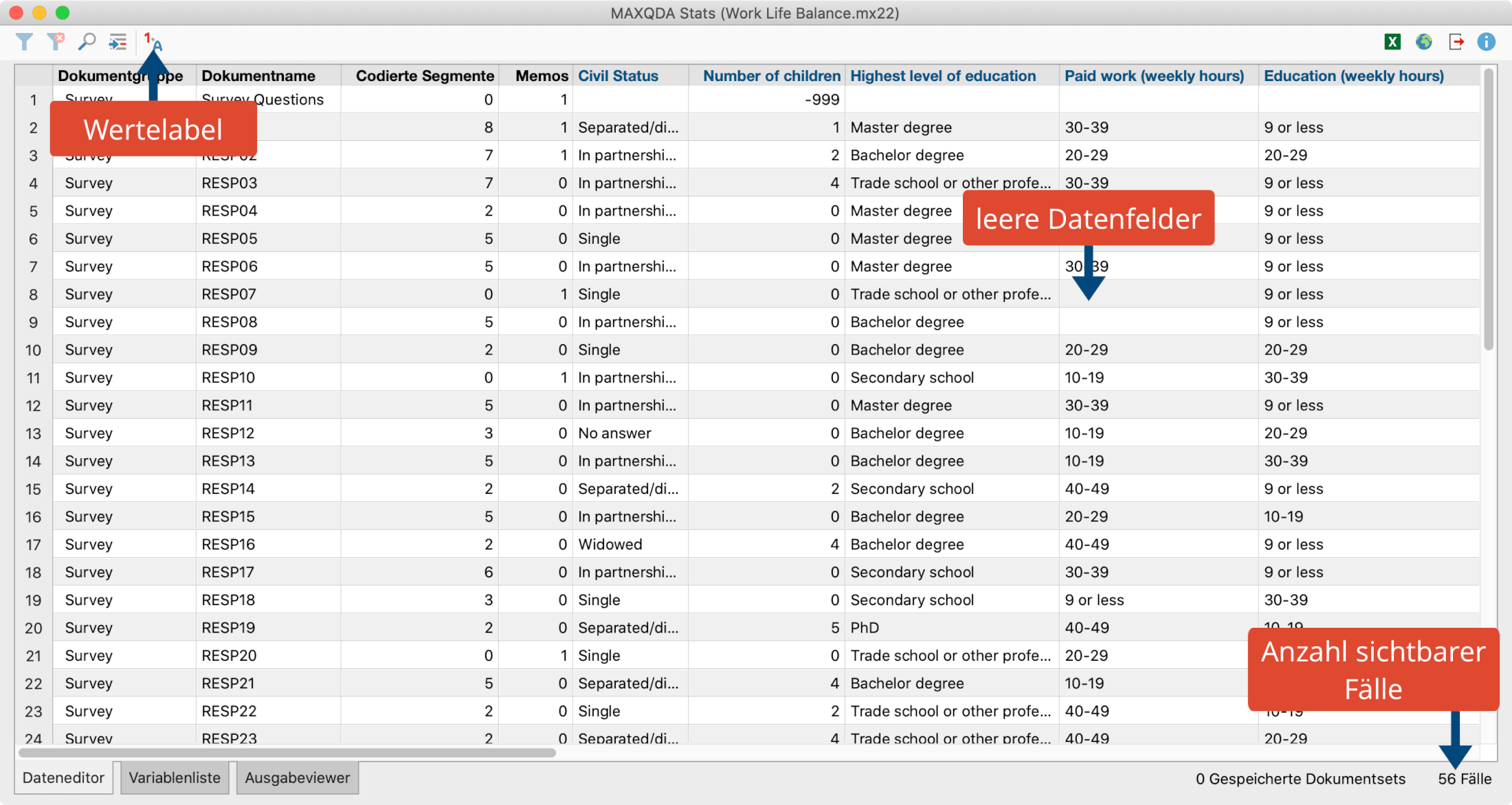 Der Dateneditor von MAXQDA Stats Der Dateneditor von MAXQDA Stats