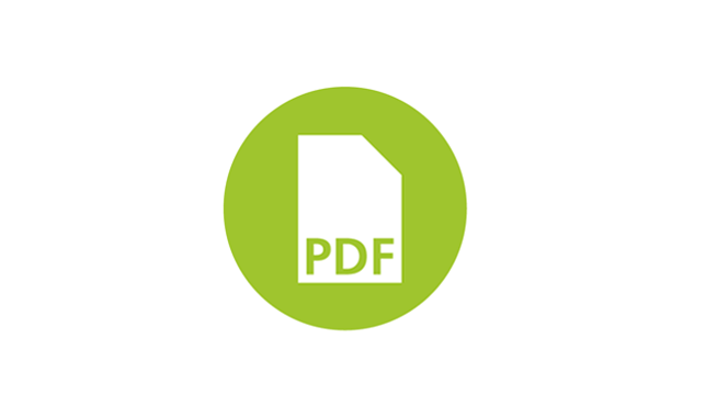 Manual introdutório em português do MAXQDA